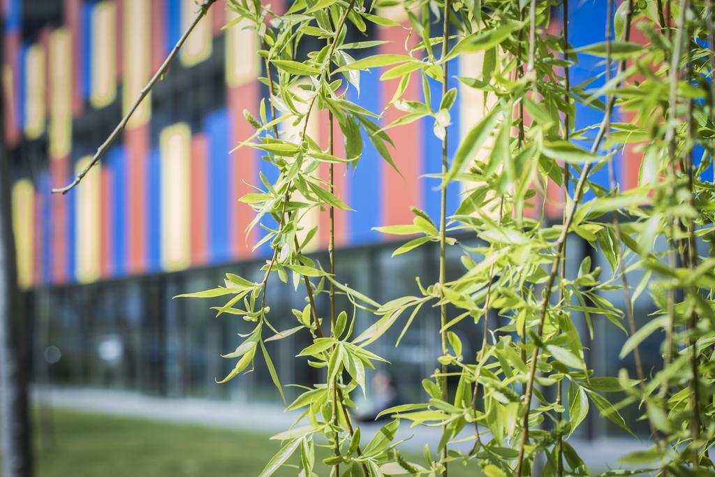 Centre Esplai Albergue Ελ Πρατ ντε Λομπρεγκάτ Εξωτερικό φωτογραφία